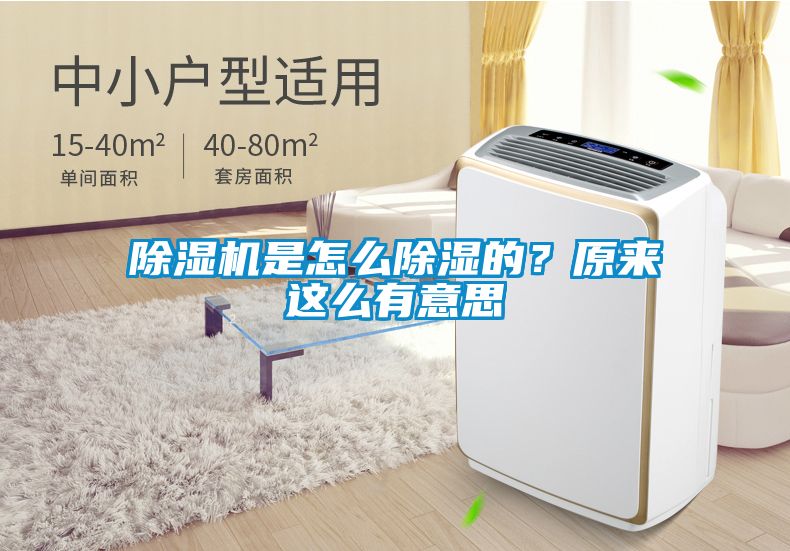 除濕機是怎么除濕的？原來這么有意思