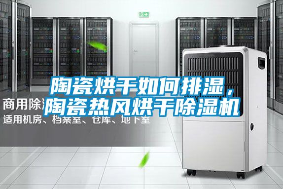 陶瓷烘干如何排濕，陶瓷熱風(fēng)烘干除濕機(jī)