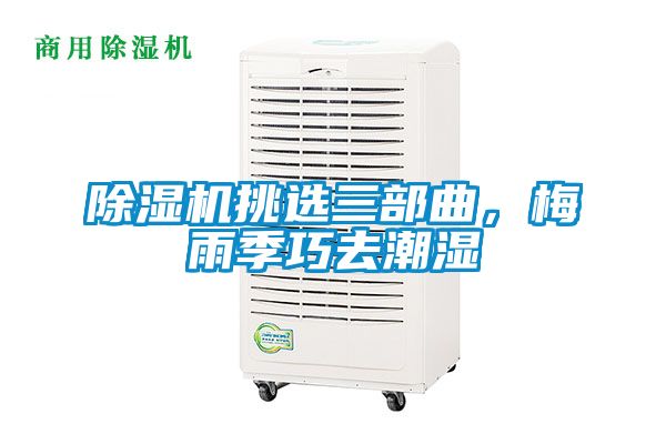 除濕機挑選三部曲，梅雨季巧去潮濕