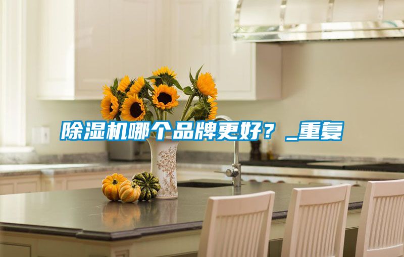 除濕機哪個品牌更好？_重復(fù)