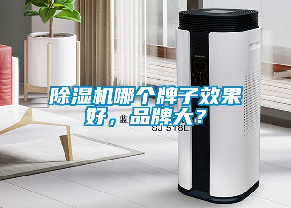 除濕機哪個牌子效果好，品牌大？
