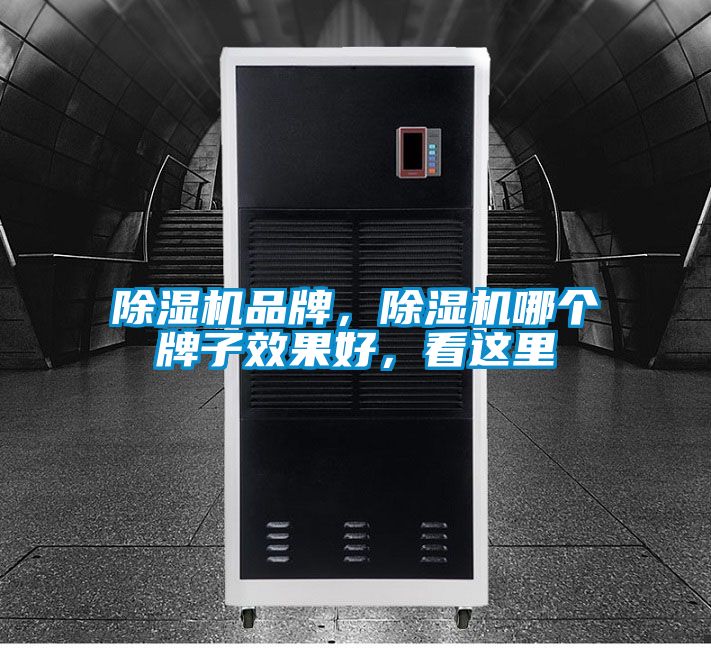 除濕機(jī)品牌，除濕機(jī)哪個(gè)牌子效果好，看這里