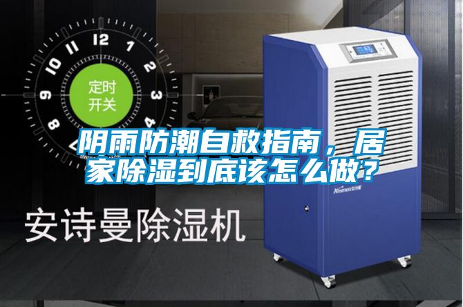 陰雨防潮自救指南，居家除濕到底該怎么做？
