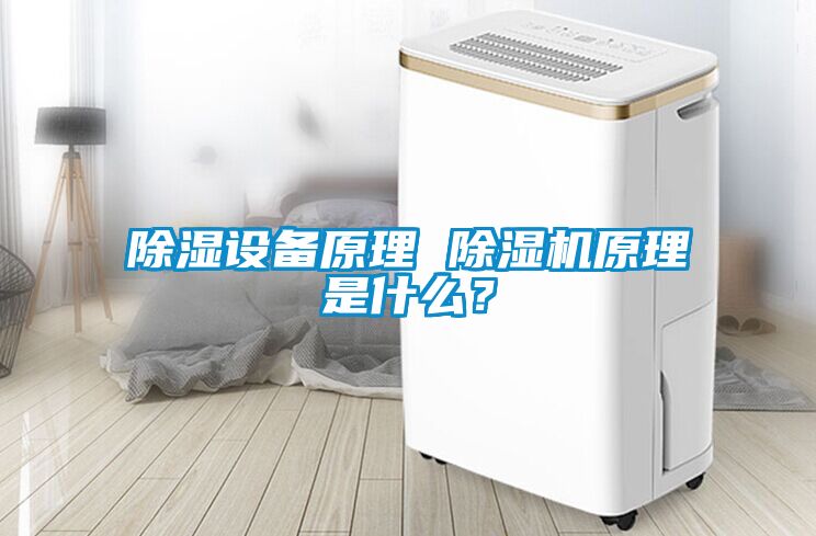 除濕設(shè)備原理 除濕機(jī)原理是什么？