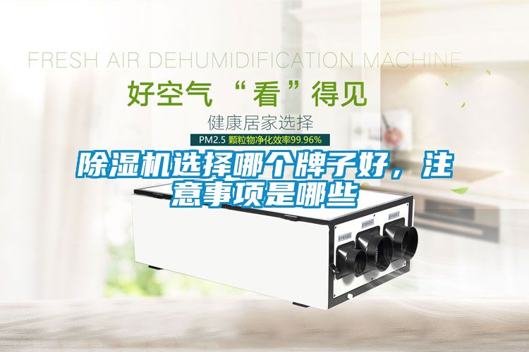 除濕機(jī)選擇哪個(gè)牌子好，注意事項(xiàng)是哪些