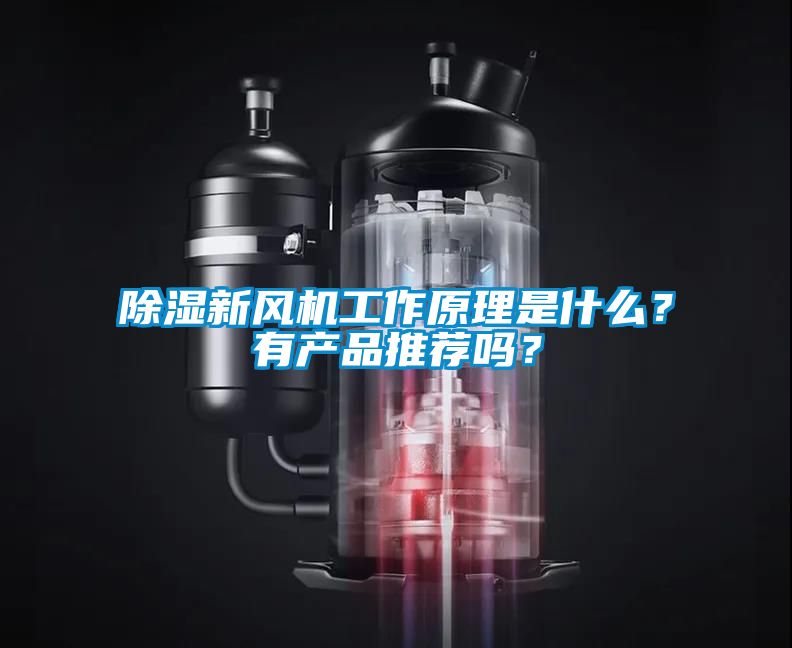 除濕新風(fēng)機(jī)工作原理是什么？有產(chǎn)品推薦嗎？