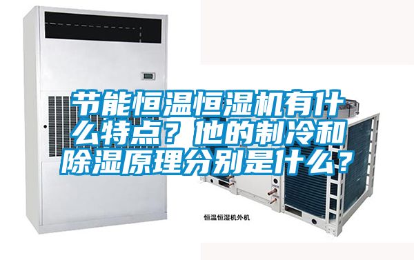 節(jié)能恒溫恒濕機有什么特點？他的制冷和除濕原理分別是什么？