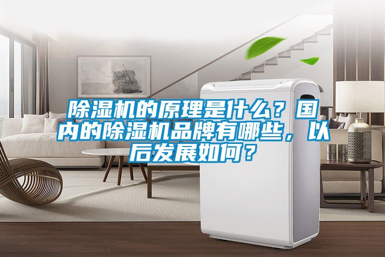 除濕機(jī)的原理是什么？國內(nèi)的除濕機(jī)品牌有哪些，以后發(fā)展如何？