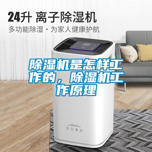除濕機是怎樣工作的，除濕機工作原理