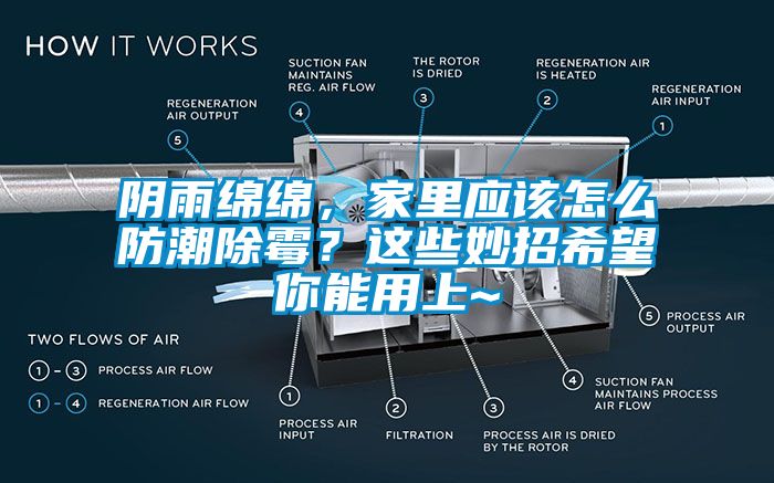 陰雨綿綿，家里應(yīng)該怎么防潮除霉？這些妙招希望你能用上~