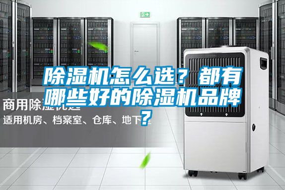 除濕機怎么選？都有哪些好的除濕機品牌？