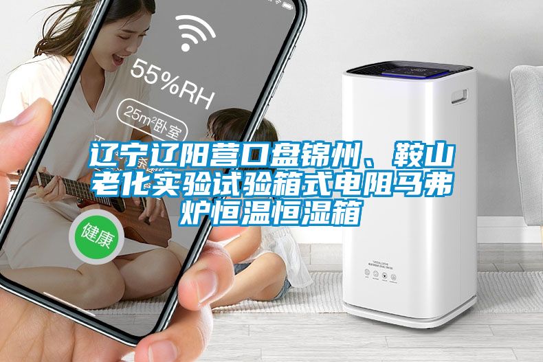 遼寧遼陽營口盤錦州、鞍山老化實驗試驗箱式電阻馬弗爐恒溫恒濕箱