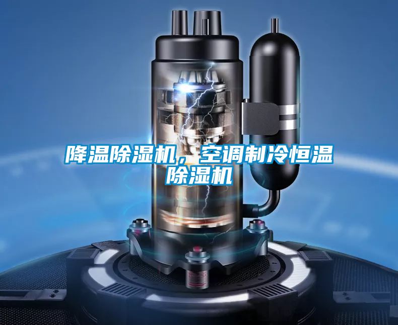 降溫除濕機(jī)，空調(diào)制冷恒溫除濕機(jī)