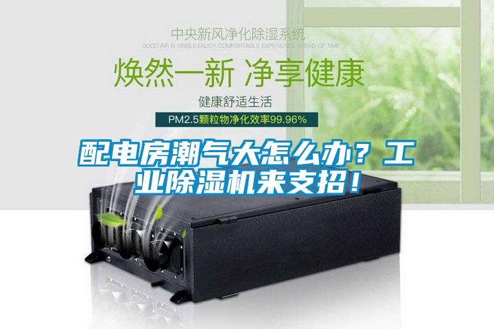 配電房潮氣大怎么辦？工業(yè)除濕機來支招！