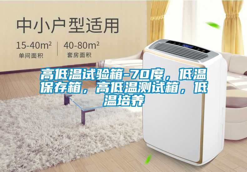 高低溫試驗箱-70度，低溫保存箱，高低溫測試箱，低溫培養(yǎng)