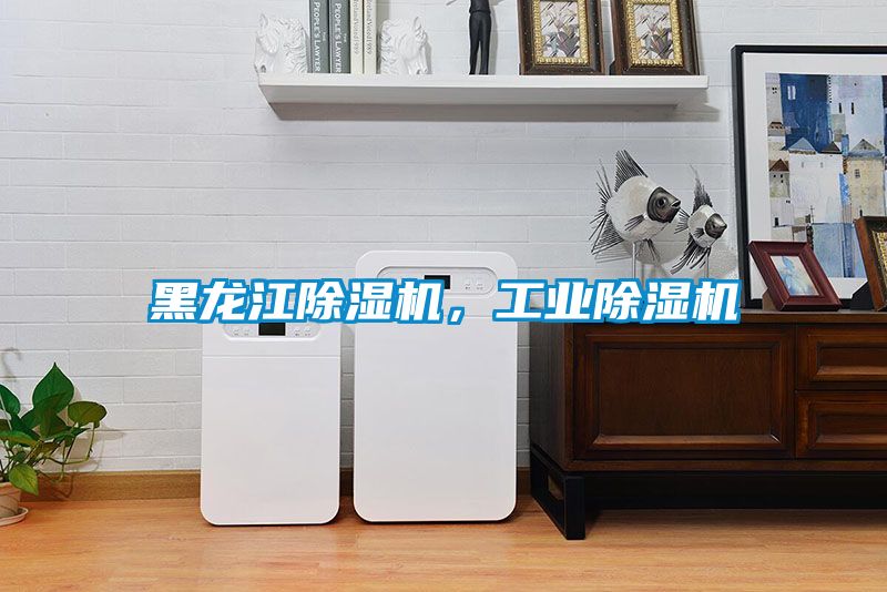 黑龍江除濕機(jī)，工業(yè)除濕機(jī)