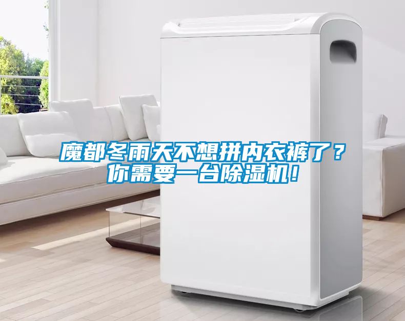 魔都冬雨天不想拼內(nèi)衣褲了？你需要一臺除濕機(jī)！